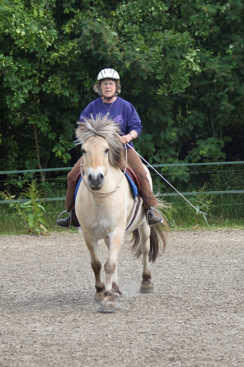 Oefendag_paard_juni_2013_24