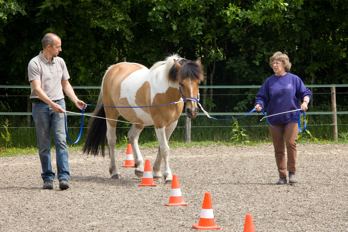 Oefendag_paard_juni_2013_6