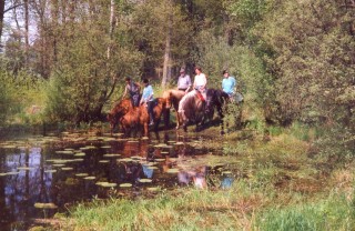 Wapserveen_1993_klein